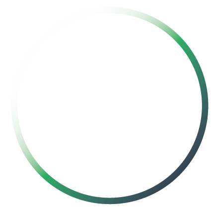 N1 Circular Logo