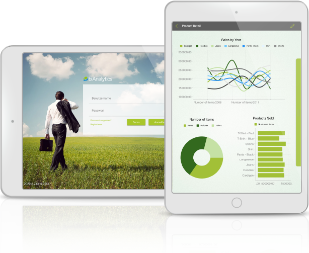 biAnalytics iPad mockup