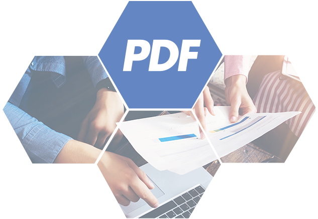 PDF Export Header Image