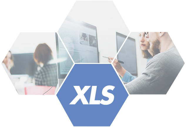 Excel export Header Image